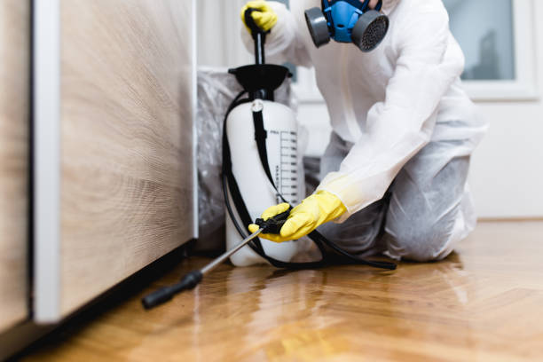 Best Exterminator Services  in Denver, IA