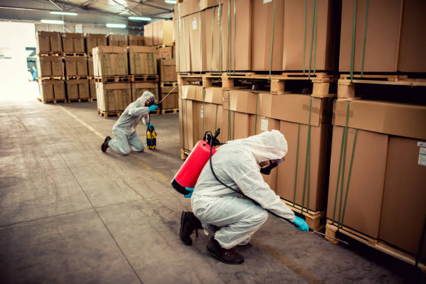 Best Flea Control Services  in Denver, IA