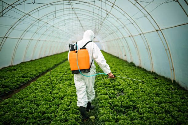 Best Pest Inspection Near Me  in Denver, IA
