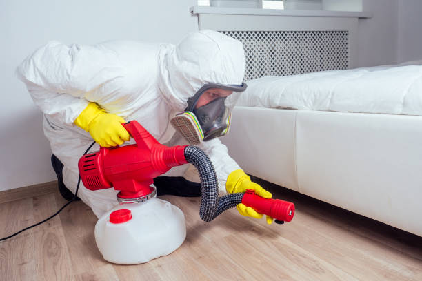 Best Pest Removal Services  in Denver, IA