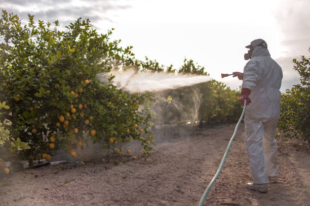 Best Pest Inspection Near Me  in Denver, IA