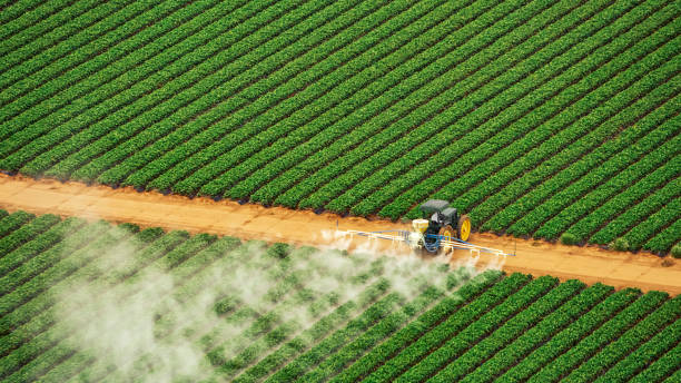 Best Mosquito Control Services  in Denver, IA