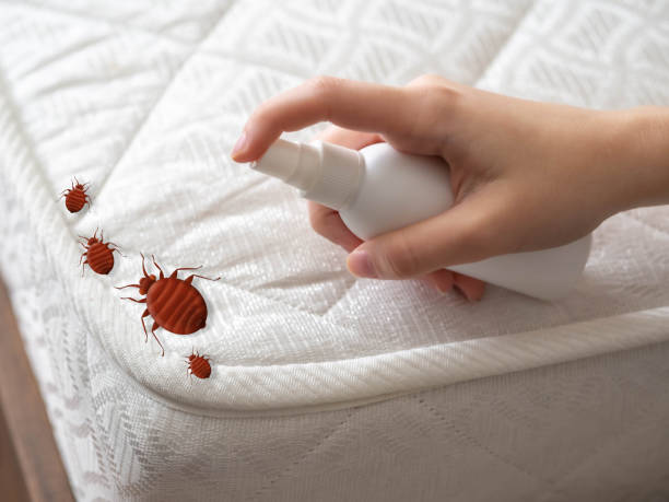 Best Commercial Pest Control Services  in Denver, IA